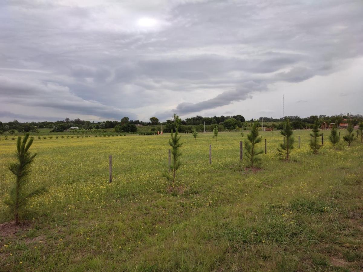 Tierra De Inmigrantes Vila Baradero Exterior foto